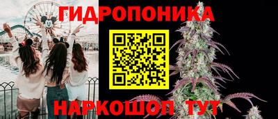 гидропоника Коммунар
