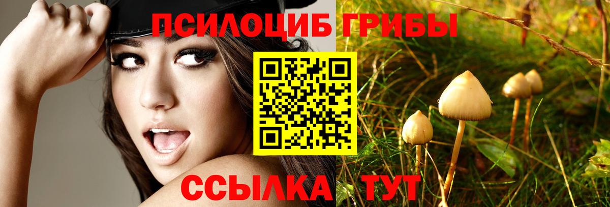 Псилоцибиновые грибы мухоморы  Вход с VPN  Кохма 